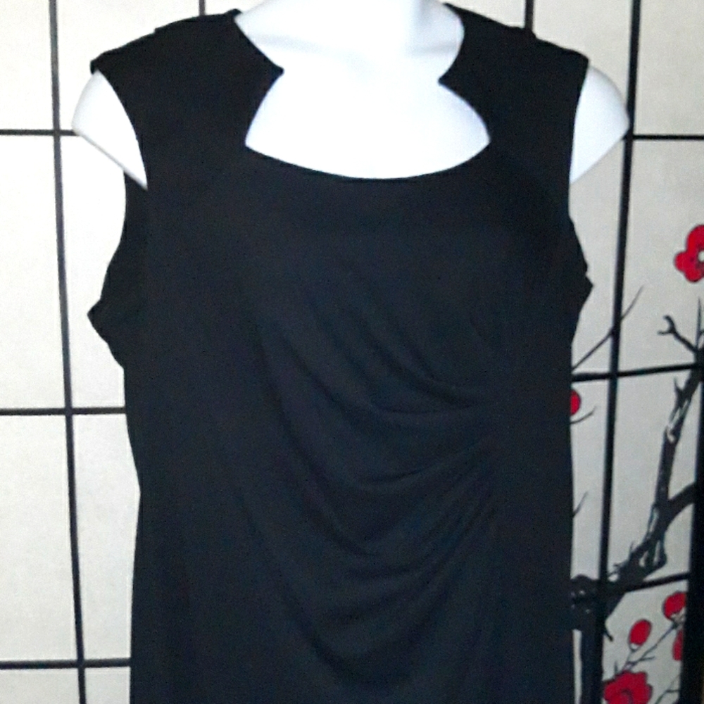 Elegant Shelby & Palmer NWT Dress